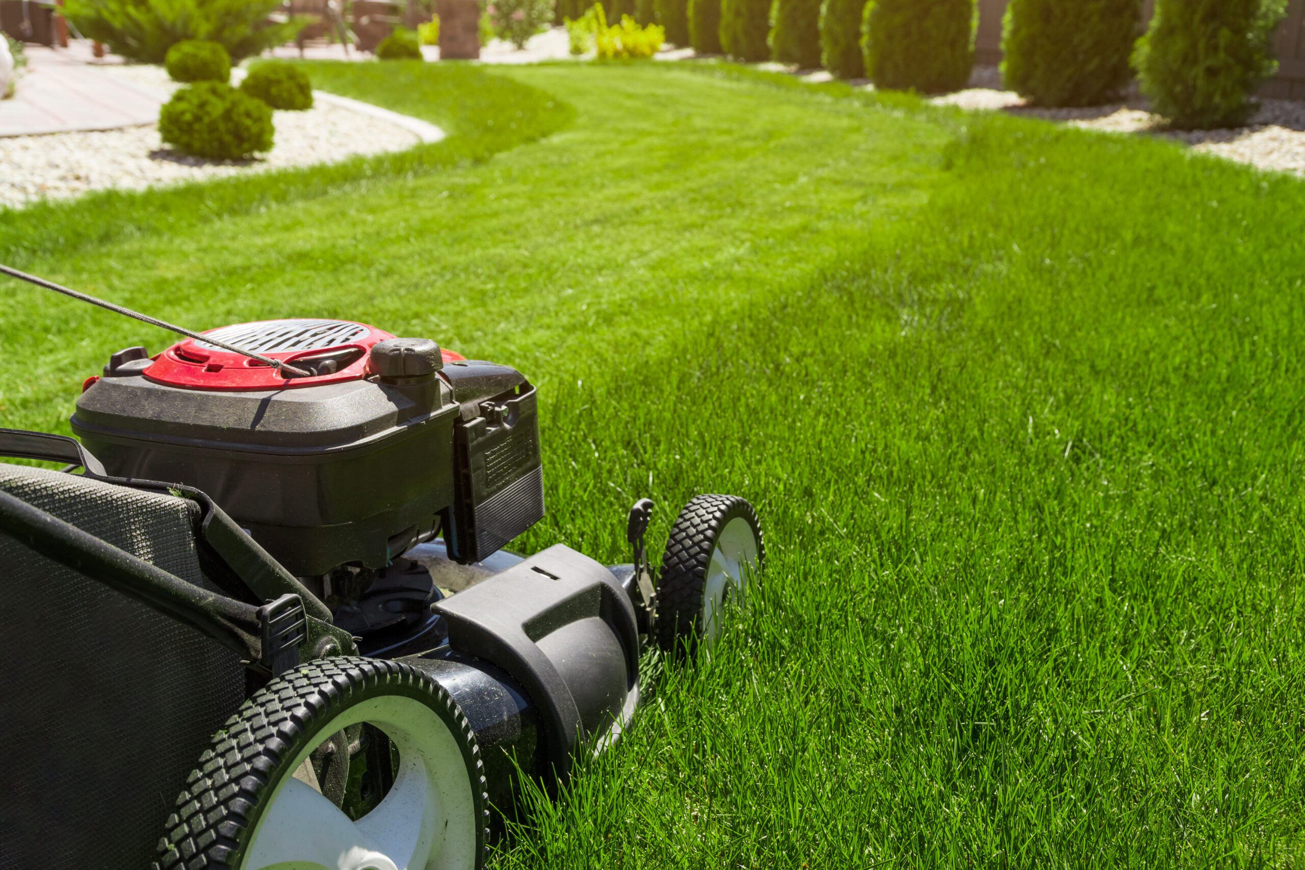 Lawn,Mower,On,Green,Grass