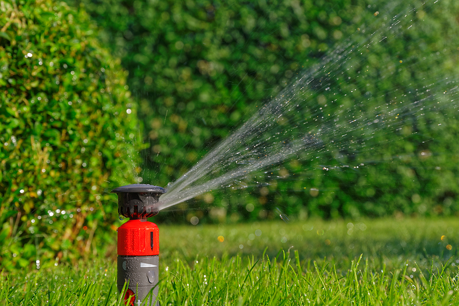 automatic lawn sprinkler while irrigation against green hedge